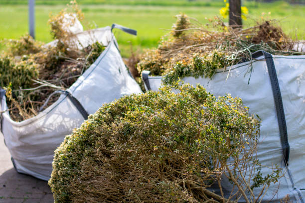 Best Electronics Removal Services  in Chatham, VA